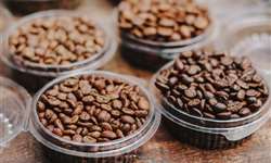 Desafios do setor cafeeiro para uma cadeia sustentável são debatidos em BH