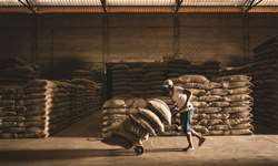 Colômbia está entre compradores de café hondurenho