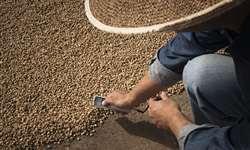 Eduardo Carvalhaes fala sobre a queda do preço do café