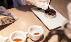 Sindicafé realiza curso de classificação e degustação de café