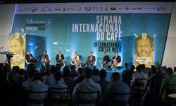 Global Coffee Platform faz parceria com a Rainforest Alliance