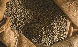 Porto de Santos exporta 80% de todo volume nacional de café