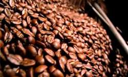 Demanda por café robusta tende a crescer com disparada dos preços do arábica