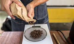 Consumo de cafés especiais ajudou a impulsionar crescimento de 4,8% no Brasil