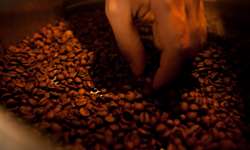 Dubai ganha primeiro grande centro de café