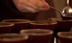 Câmara de Comércio Brasil-Canadá apresenta café brasileiro aos canadenses