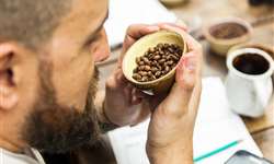 Preço do café registra aumento devido à alta demanda global
