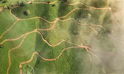 Emater usa drone para mapear áreas produtoras