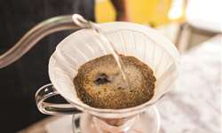 IBM anuncia app que possibilita o rastreamento do grão da lavoura à xícara