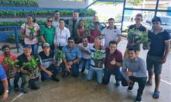 Governo de Rondônia distribui 12 mil mudas de café para produtores rurais