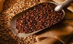 Marex revisa oferta global de café para déficit de 7,1 mi de sacas