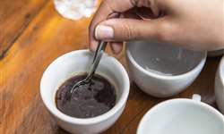 Estados Unidos é o principal comprador de café solúvel brasileiro