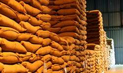 Ministério diz que ainda não há definição sobre venda de estoques de café