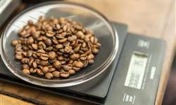Fala Café #9 traz debate sobre mercado e novas estratégias para varejo de café
