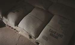 Cepea relata movimentações positivas nos contratos futuros do café brasileiro