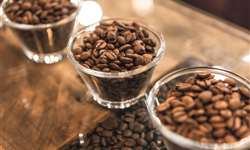 Leilão dos cafés do Cup of Excellence Nicarágua bate recorde de preço