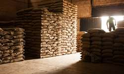 Brasil exporta 4,1 milhões de sacas de café e bate recorde para o mês de outubro