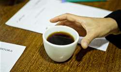 Em painel na SIC, presidente da Polishop diz que consumidor que compra café quer uma experiência