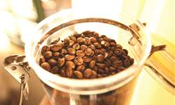 Cafés de origem controlada: um caminho para alinhar produtores às tendências de consumo