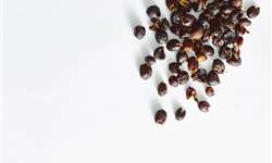 Empresa de café verde Olam Coffee anuncia linha de produtos de cáscara de café