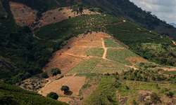 Sistema de solos brasileiros contribui com setor do agronegócio