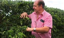 Cafeicultor aumenta produtividade com projeto de irrigação