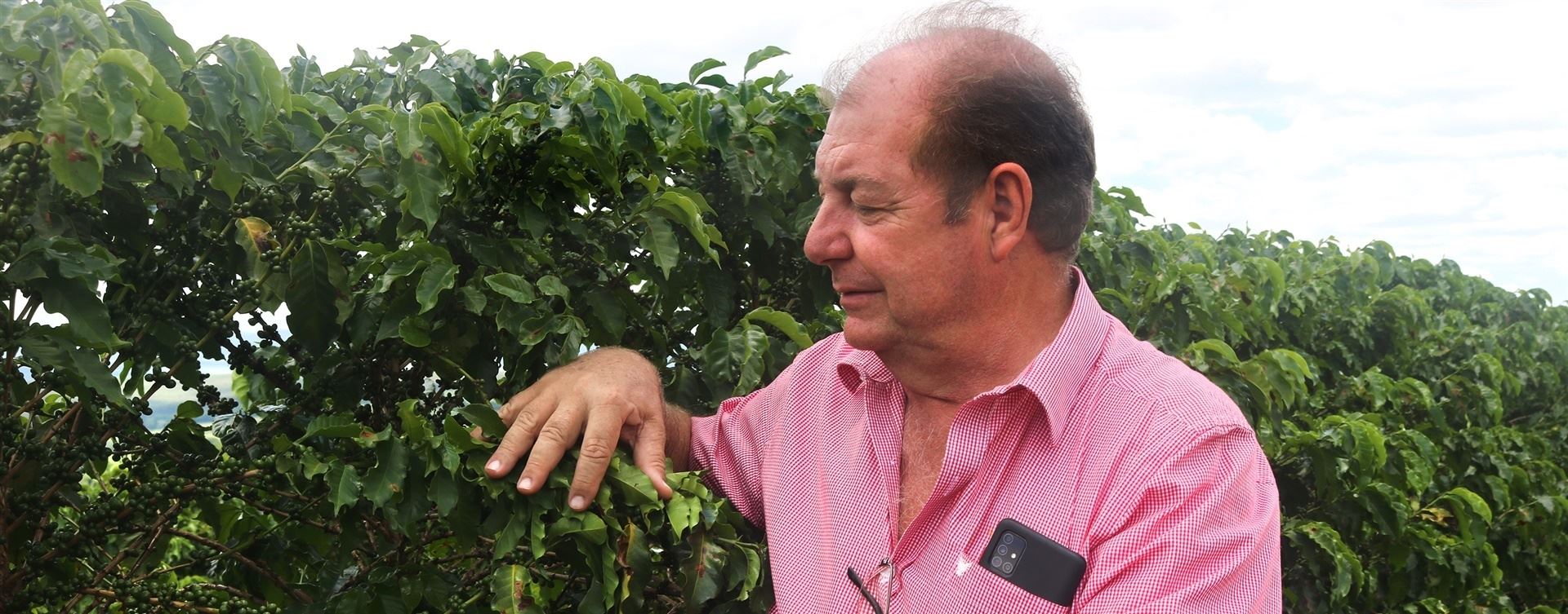 Cafeicultor aumenta produtividade com projeto de irrigação