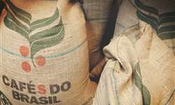 Brasil exporta 3,1 milhões de sacas de café em janeiro