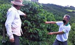 Poços de Caldas investe em marca coletiva de café vulcânico