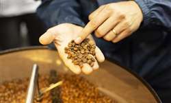 Igualdade na cafeicultura: evento debate principais pontos para empreender com sucesso no setor