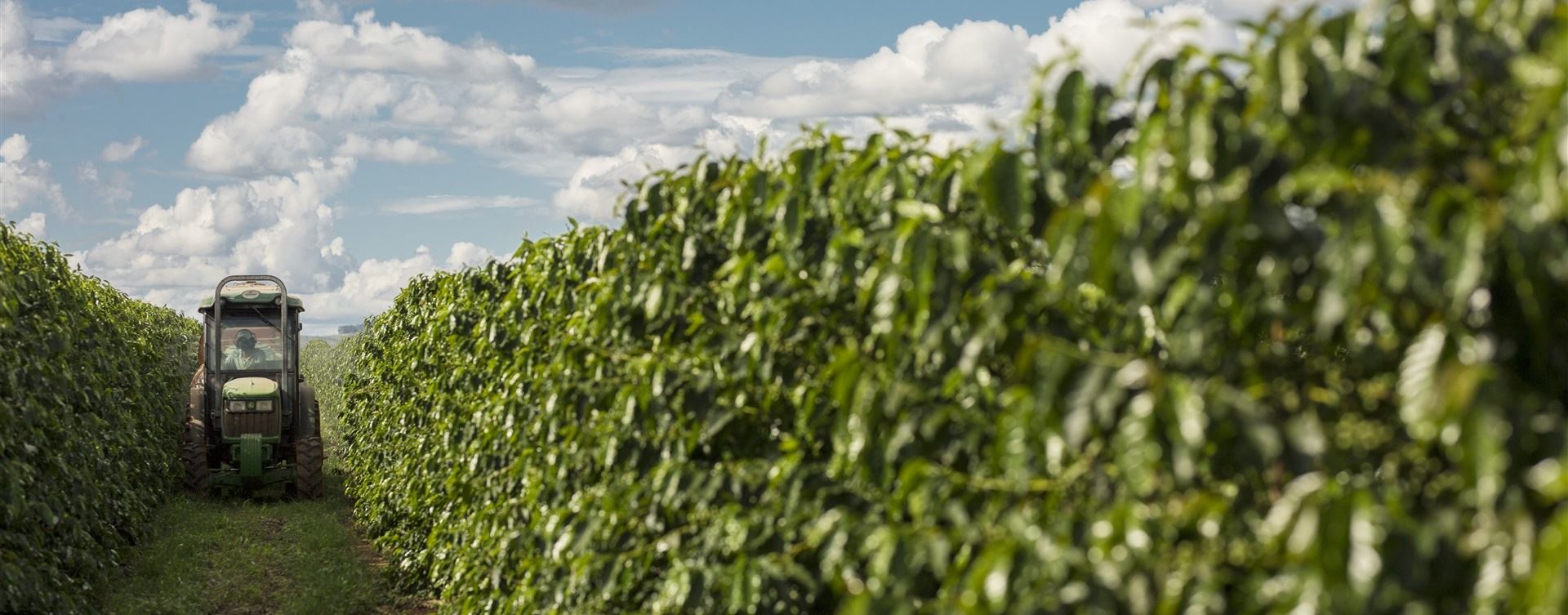 Fórum Brasileiro do Agronegócio debate sucesso do setor em evento virtual e gratuito