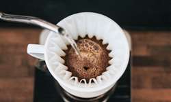 Pesquisadores redescobrem espécie de café que pode ser mais resistente às mudanças climáticas