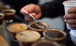 Primeiro leilão de café de Taiwan vende lote por US$ 500 por libra