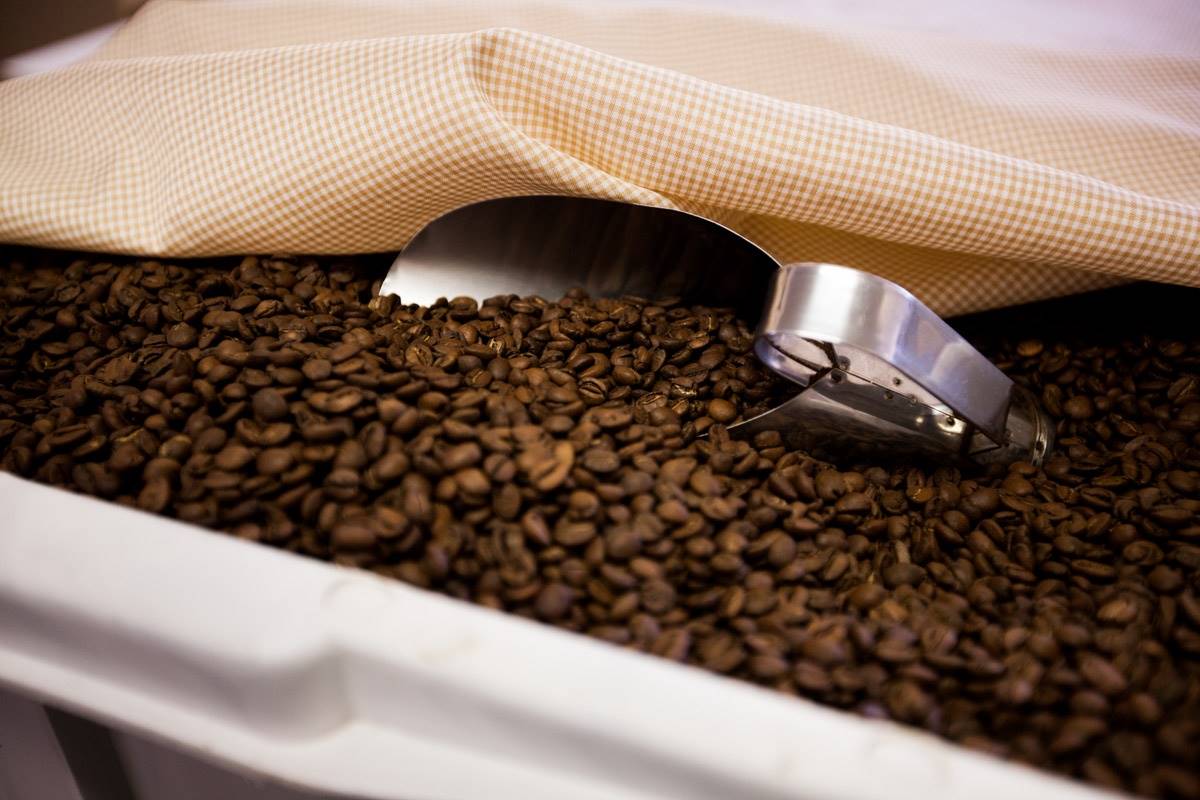 Café arábica opera com valorização na Bolsa de Nova York