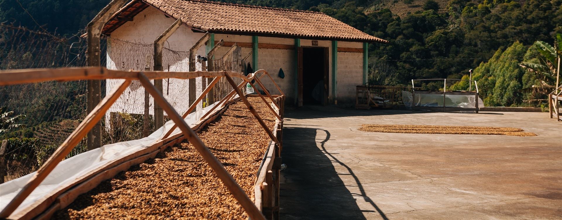 Coopercam lança concurso de fotografia aos associados e familiares