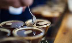 Fundação Procafé abre inscrições para curso de classificação e prova de café