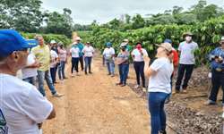 Produtores de Roraima visitam Rondônia para conhecer o cultivo de cafés Robustas Amazônicos