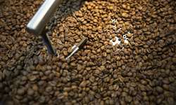 Minas Gerais é responsável por 46% da safra brasileira de café deste ano