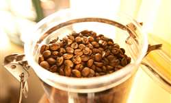 Organização Internacional do Café destaca elevação do consumo do grão