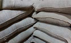 Fevereiro: exportação dos grãos brasileiros atinge 3,4 milhões de sacas