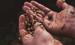 Últimas vagas para curso de fermentação monitorada de café arábica da Fundação Procafé