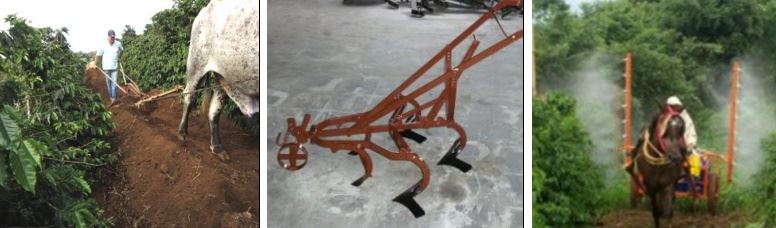 Figura 2