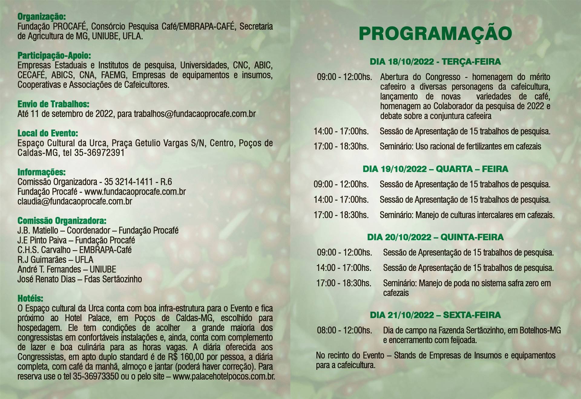 Figura 1
