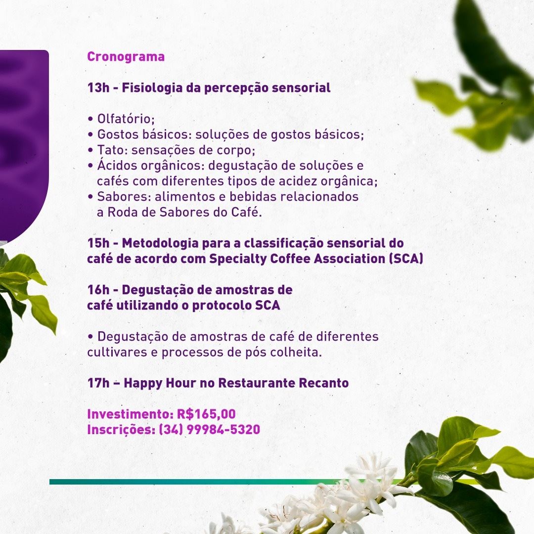 Figura 1