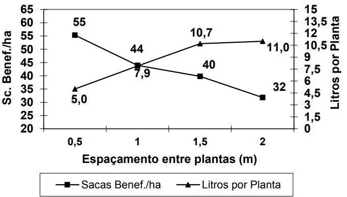 Figura 3