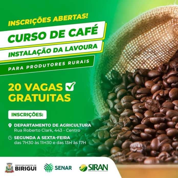 Figura 1