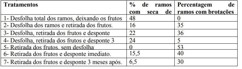 Figura 1