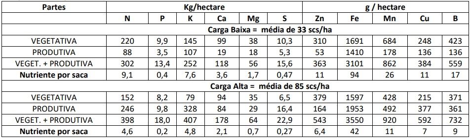 Figura 3