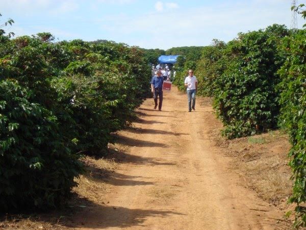 Foto: Dia de Campo da Fundação Procafé/ Divulgação