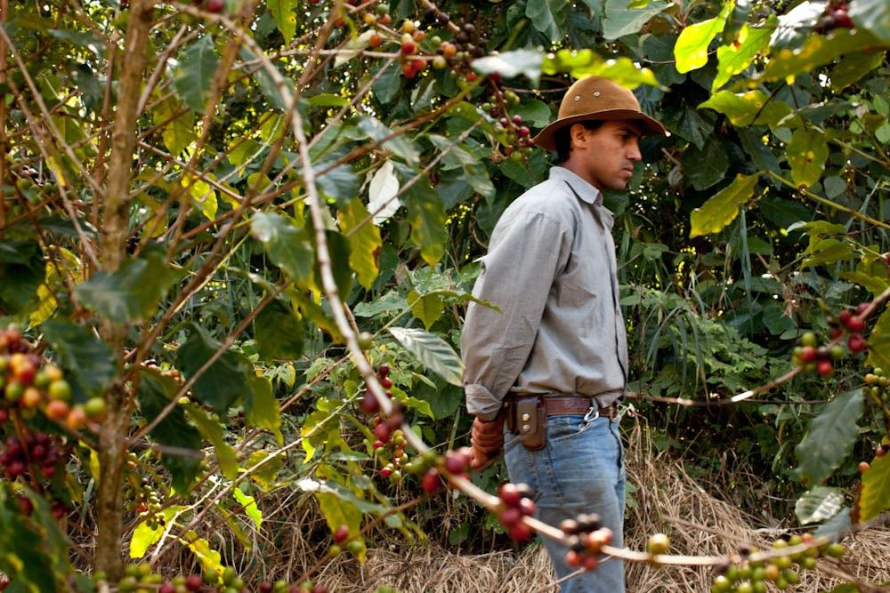 Foto: Érico Hiller/ Café Editora
